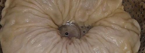 ханум с фаршем. Шаг 8