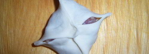 манты. Шаг 8