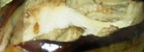 фаршированные баклажаны по-армянски. Шаг 8