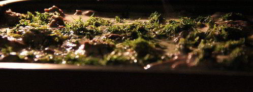 печень в сметанной заливке. Шаг 6