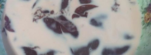 жареная фуагра с шоколадным соусом. Шаг 3