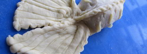 пельмень-рыба. Шаг 5