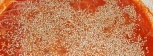 рисовая лапша с овощами и морепродуктами. Шаг 5