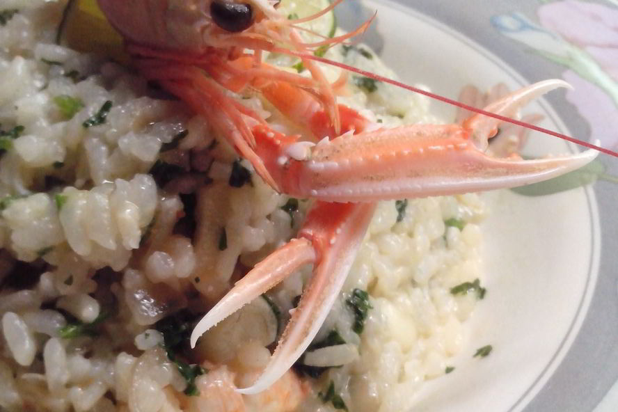 Рецепт ризотто с морскими гадами