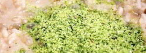 ризотто с сыром. Шаг 6