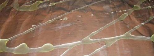 лосось по-канадски. Шаг 21