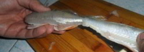 окунь на сковороде. Шаг 4