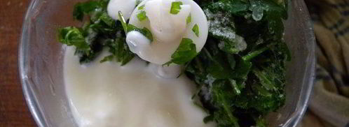 семга-гриль с мороженым из петрушки. Шаг 4