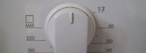 семга-гриль с мороженым из петрушки. Шаг 8