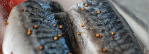 скумбрия пряная. Шаг 4