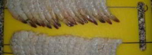 шашлык из креветок на шпажках. Шаг 3