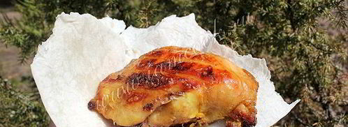 шашлык из курицы на решетке. Шаг 11