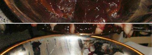 шашлык из печени с салом. Шаг 5