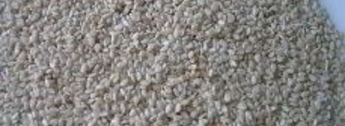 шницель в мятной панировке с кунжутом. Шаг 6