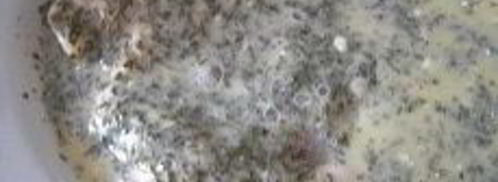 шницель в мятной панировке с кунжутом. Шаг 9