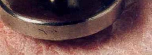 шницели алла миланезе фаршированные. Шаг 18