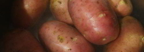 ленивые вареники из картошки со шкварками. Шаг 3