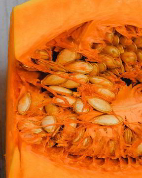 Ленивые вареники с тыквой