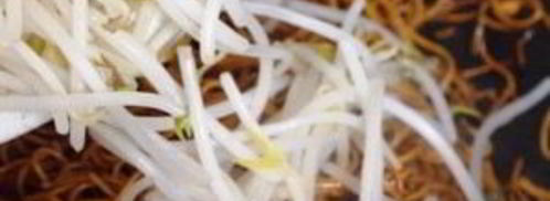 яичная лапша с соевым соусом. Шаг 8