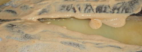 новогоднее рыбное жаркое оскал дракона. Шаг 6