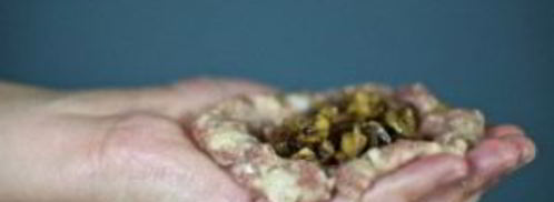 зразы мясные с грибами. Шаг 10