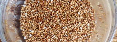 гречка с грибами и овощами в духовке. Шаг 8