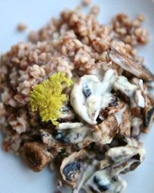 Гречка со сливочным грибным соусом