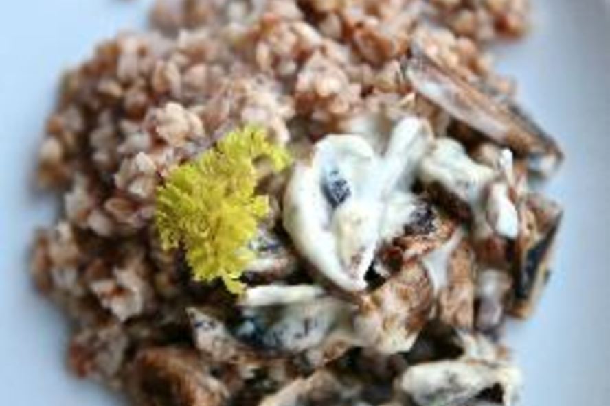 Рецепт гречки со сливочным грибным соусом