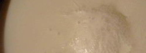 каша по-гурьевски. Шаг 5