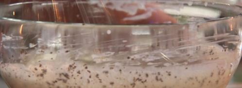 манная каша с кофе. Шаг 4