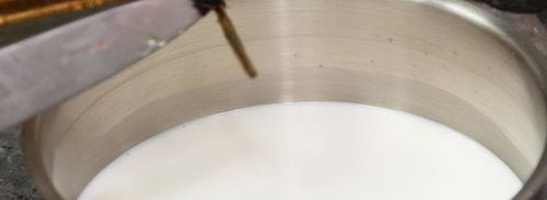 манная каша со свежей клубникой. Шаг 4