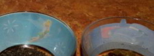 кутья из перловки. Шаг 3