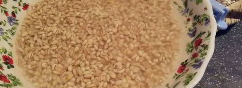 перловая каша с грибами в духовке. Шаг 3