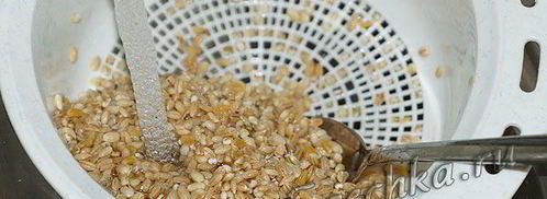перловка с тушенкой в мультиварке steba. Шаг 3