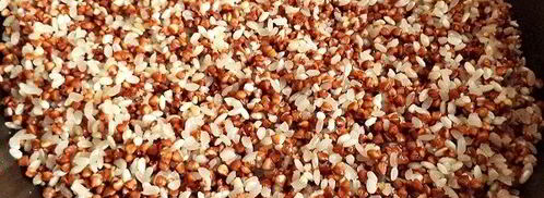 гречнево-рисовая каша на молоке. Шаг 7