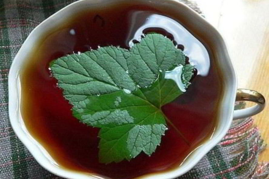 Рецепт чая татарского со смородиной и медом