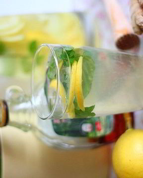 Горячий лимонный чай с имбирем и мятой Франкфурт