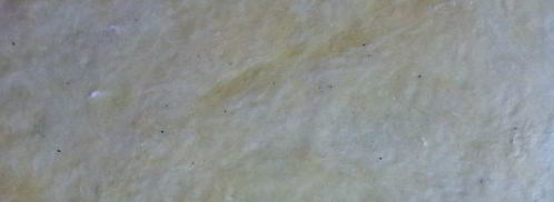 киш с шампиньонами. Шаг 5