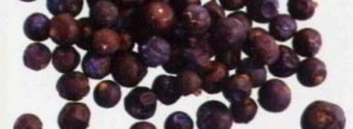 домашнее пиво из свеклы. Шаг 5