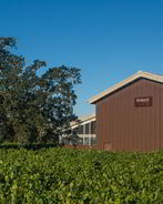 Домашнее вино из алычи