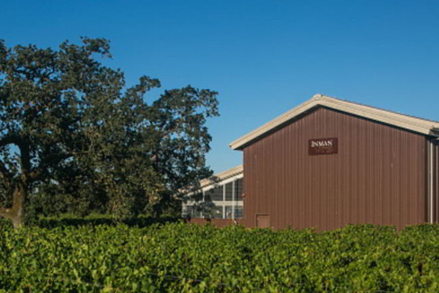 Рецепт домашнего вина из алычи