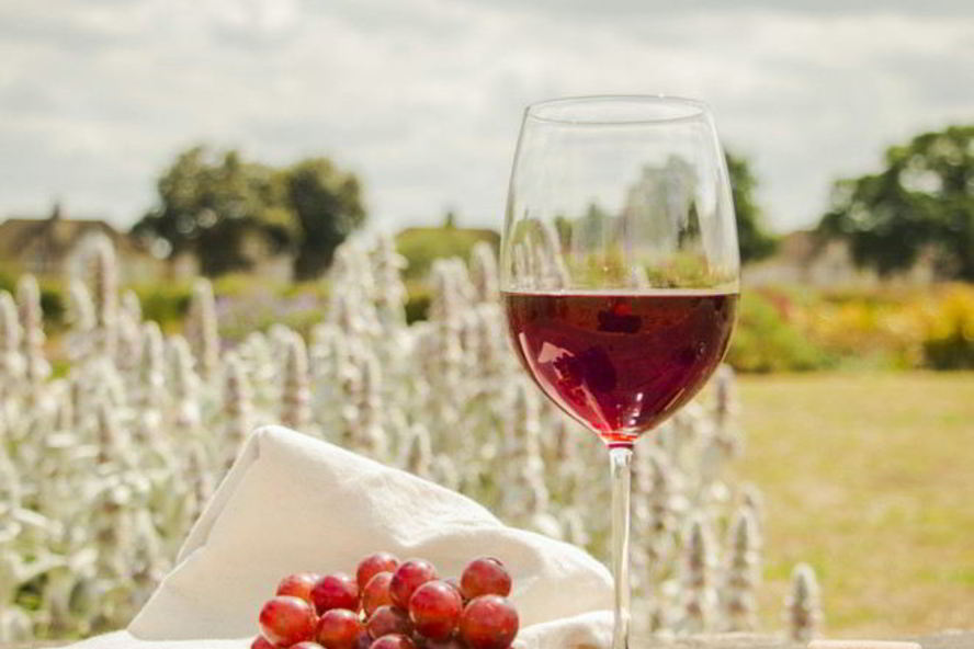 Рецепт домашнего вина из лидии