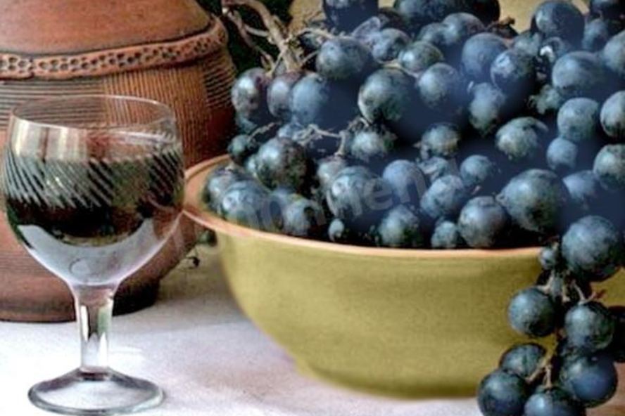 Рецепт домашнего вина из синего винограда