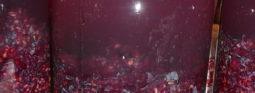 домашнее вино изабелла. Шаг 5