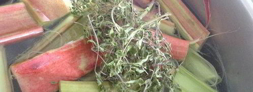 кисель чабрец, ревень и малина. Шаг 3