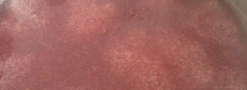 кисель чабрец, ревень и малина. Шаг 6