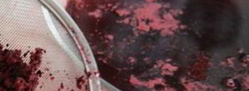 кисель из черноплодной рябины. Шаг 5