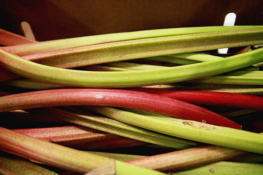 Рецепт киселя из ревеня