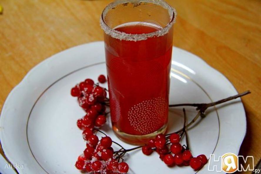 Рецепт киселя калиново-айвовый с бадьяном