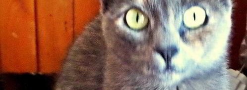 карамельно-ореховый кофе. Шаг 16